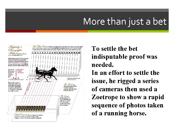 More than just a bet To settle the bet indisputable proof was needed. In