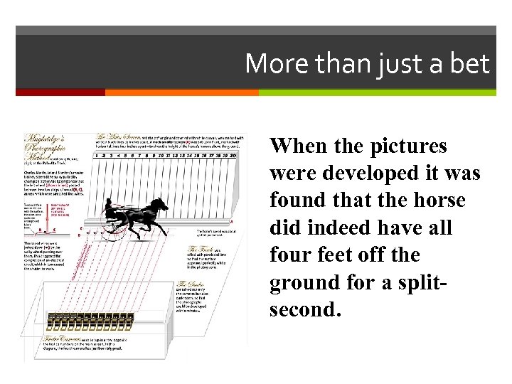 More than just a bet When the pictures were developed it was found that