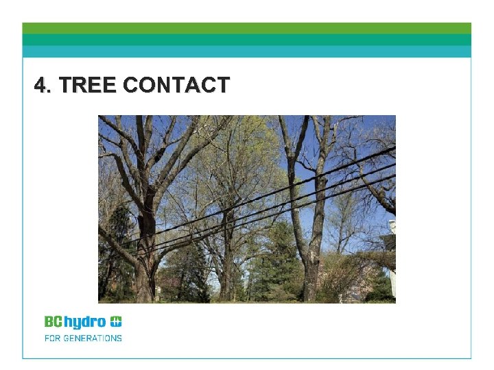 4. TREE CONTACT 