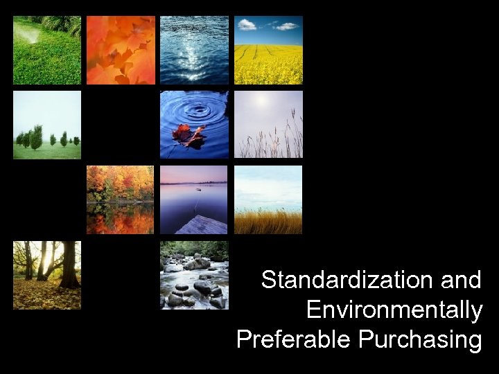 Standardization and Environmentally Preferable Purchasing 