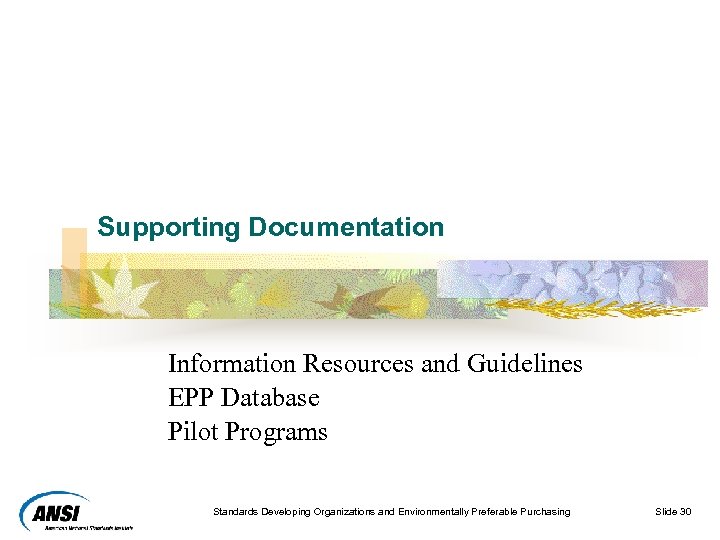 Supporting Documentation Information Resources and Guidelines EPP Database Pilot Programs Standards Developing Organizations and