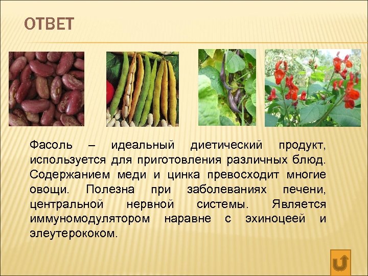 ОТВЕТ Фасоль – идеальный диетический продукт, используется для приготовления различных блюд. Содержанием меди и