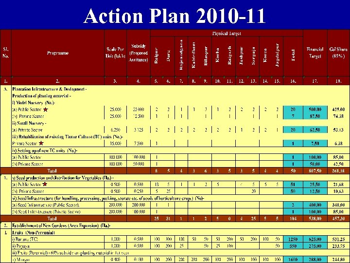 Action Plan 2010 -11 