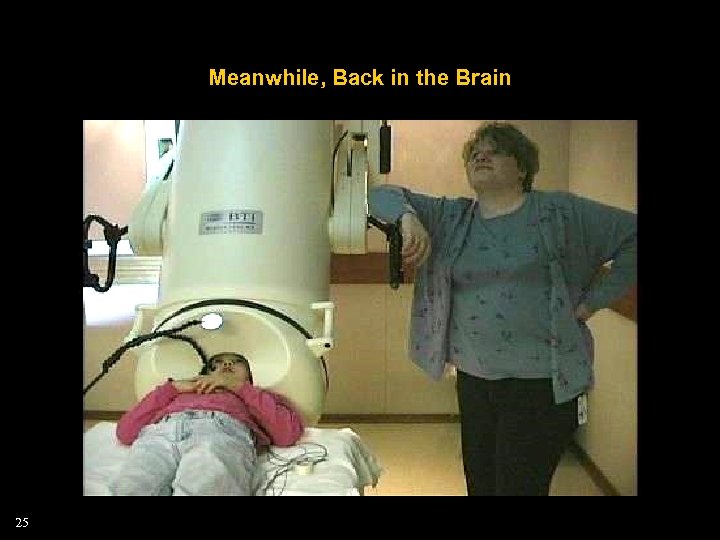 Meanwhile, Back in the Brain 25 