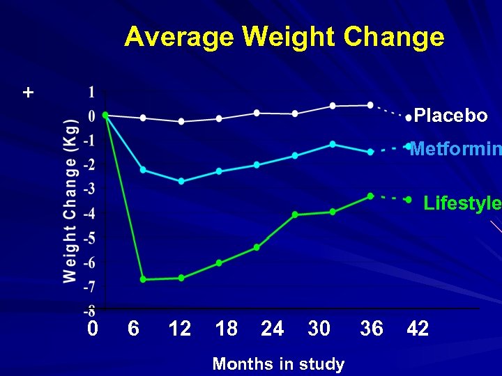 Average Weight Change + Placebo Metformin Lifestyle 0 6 12 18 24 30 Months