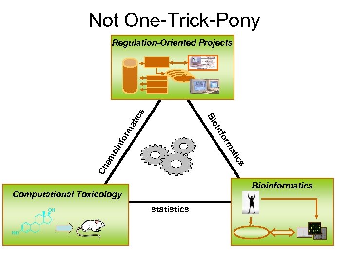 Not One-Trick-Pony fo oin Bi inf or ma tic s Regulation-Oriented Projects Ch em
