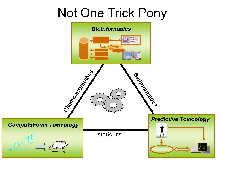 Not One Trick Pony fo oin Bi inf or ma tic s Bioinformatics Ch