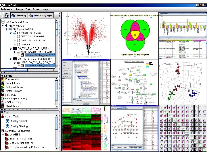 Protein Gene Metabolite 