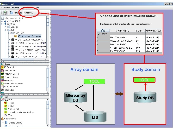 Array domain TOOL Microarray DB Study domain TOOL Study DB LIB 
