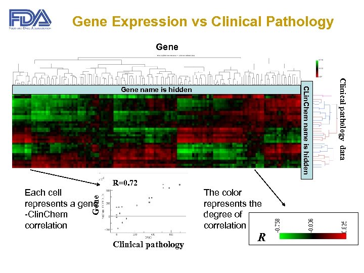 Gene Expression vs Clinical Pathology Gene R=0. 72 The color represents the degree of
