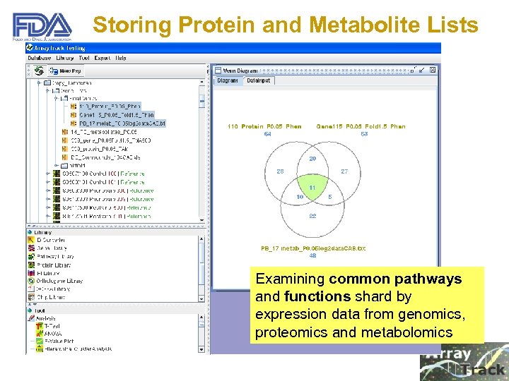 Storing Protein and Metabolite Lists Examining common pathways and functions shard by expression data
