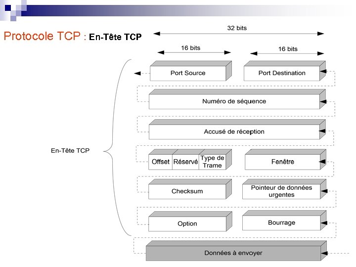 Protocole TCP : En-Tête TCP 