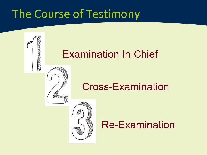 The Course of Testimony Examination In Chief Cross-Examination Re-Examination 