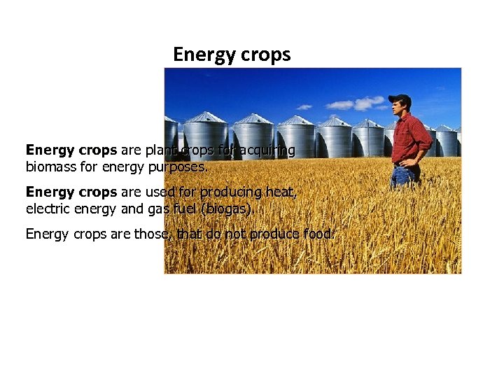 Energy crops are plant crops for acquiring biomass for energy purposes. Energy crops are