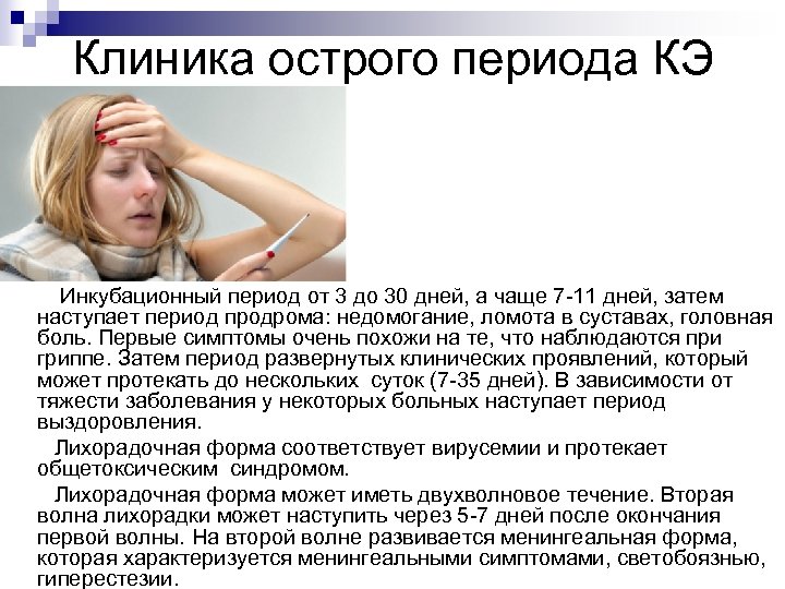 Клиника острого периода КЭ Инкубационный период от 3 до 30 дней, а чаще 7