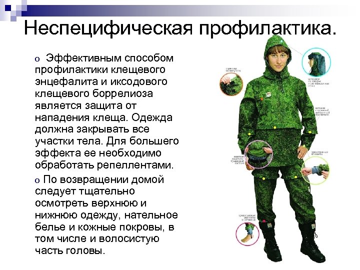 Неспецифическая профилактика. Эффективным способом профилактики клещевого энцефалита и иксодового клещевого боррелиоза является защита от