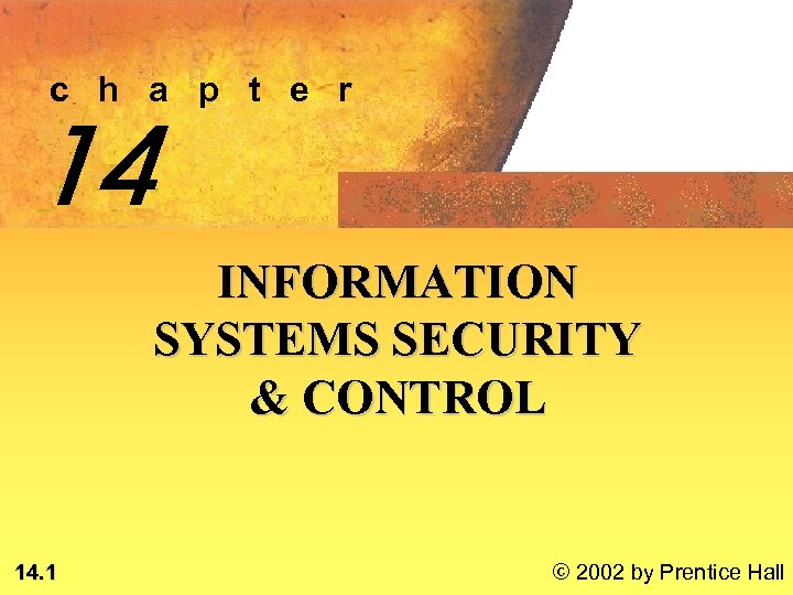 c h a p t e r 14 INFORMATION SYSTEMS SECURITY & CONTROL 14.