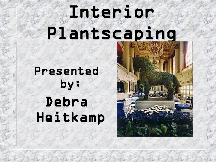 Interior Plantscaping Presented by: Debra Heitkamp 