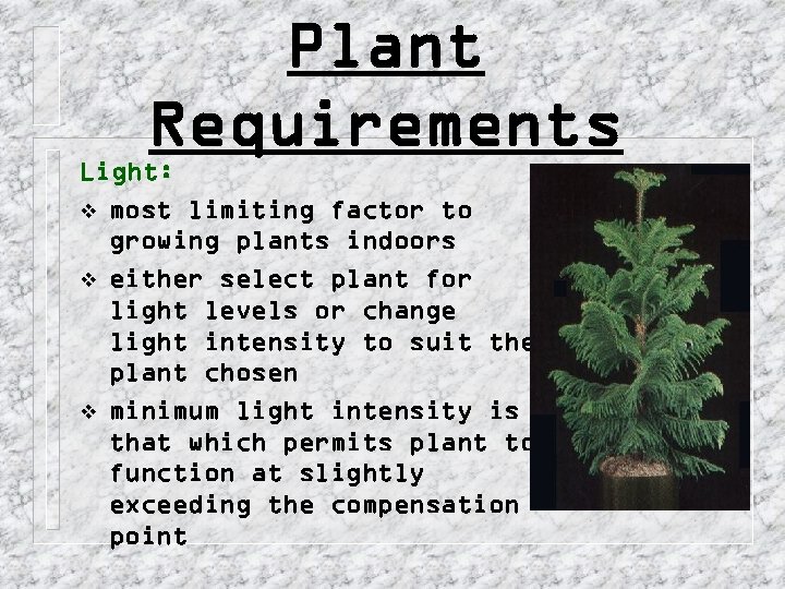 Plant Requirements Light: v most limiting factor to growing plants indoors v either select