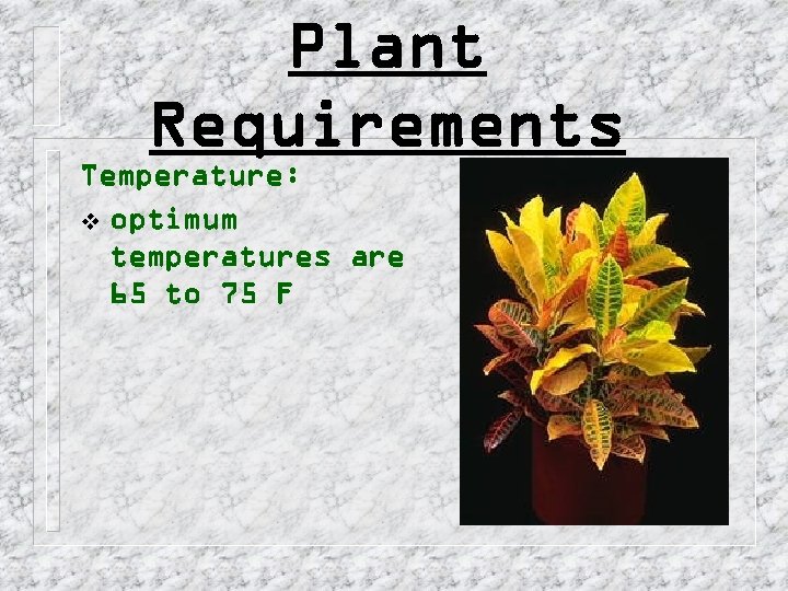 Plant Requirements Temperature: v optimum temperatures are 65 to 75 F 