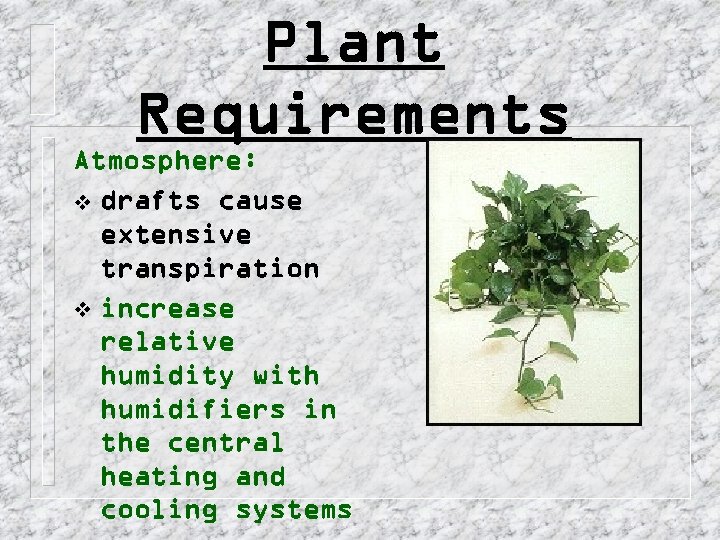 Plant Requirements Atmosphere: v drafts cause extensive transpiration v increase relative humidity with humidifiers