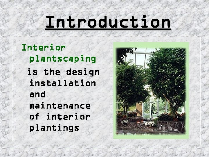 Introduction Interior plantscaping is the design installation and maintenance of interior plantings 