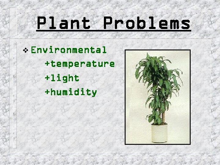 Plant Problems v Environmental +temperature +light +humidity 