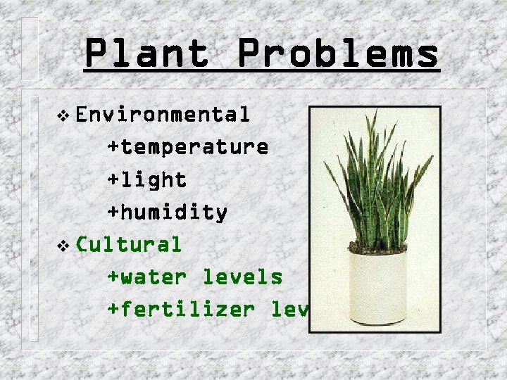 Plant Problems v Environmental +temperature +light +humidity v Cultural +water levels +fertilizer levels 