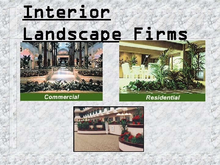 Interior Landscape Firms 