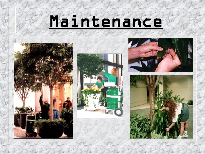 Maintenance 