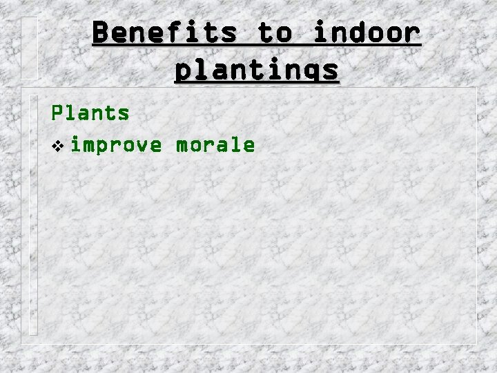 Benefits to indoor plantings Plants v improve morale 