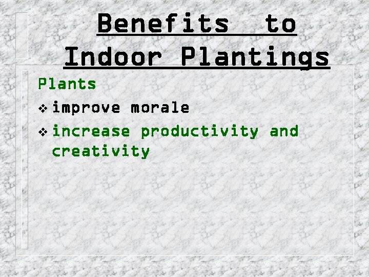 Benefits to Indoor Plantings Plants v improve morale v increase productivity and creativity 