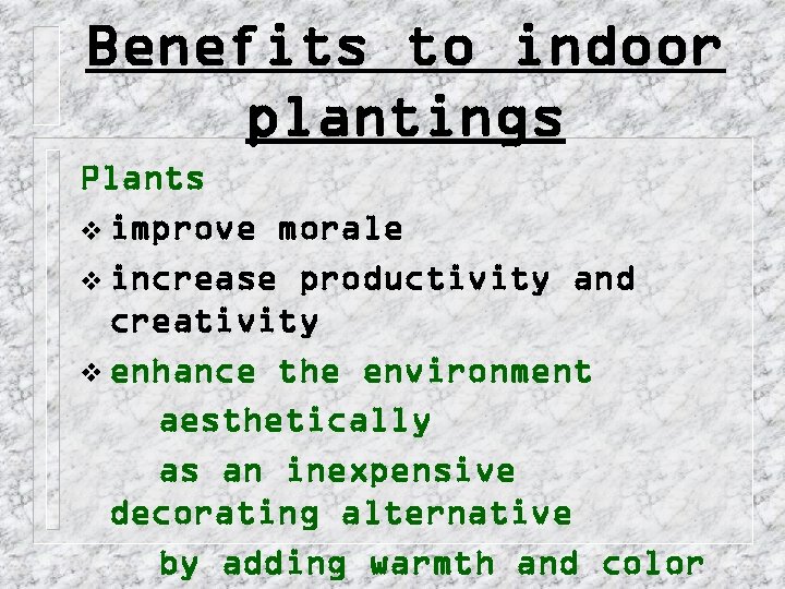 Benefits to indoor plantings Plants v improve morale v increase productivity and creativity v