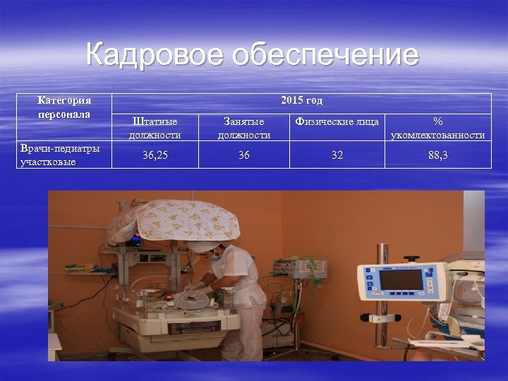 Кадровое обеспечение Категория персонала Врачи-педиатры участковые 2015 год Штатные должности Занятые должности Физические лица