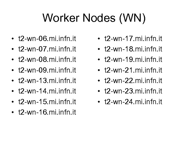 Worker Nodes (WN) • • t 2 -wn-06. mi. infn. it t 2 -wn-07.