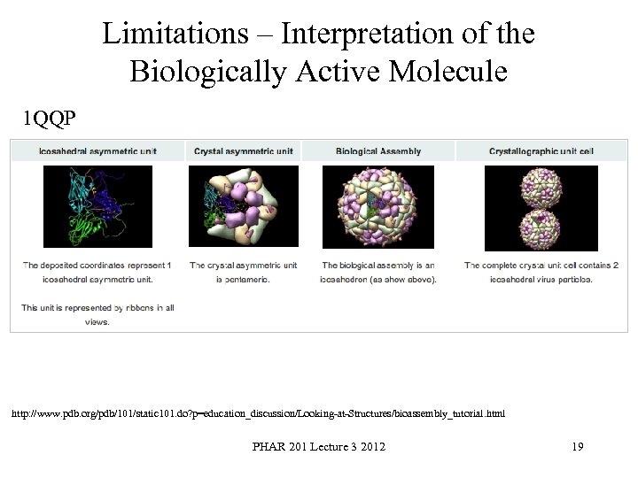 Limitations – Interpretation of the Biologically Active Molecule 1 QQP http: //www. pdb. org/pdb/101/static