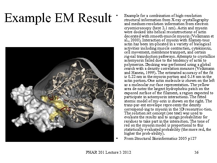 Example EM Result • • Example for a combination of high resolution structural information