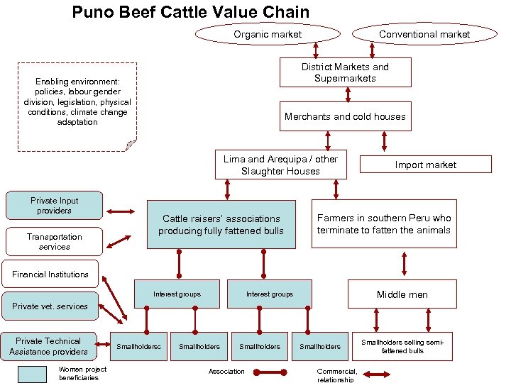 Puno Beef Cattle Value Chain Organic market Conventional market District Markets and Supermarkets Enabling