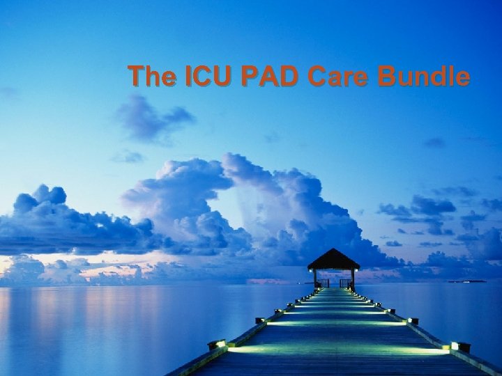 The ICU PAD Care Bundle 