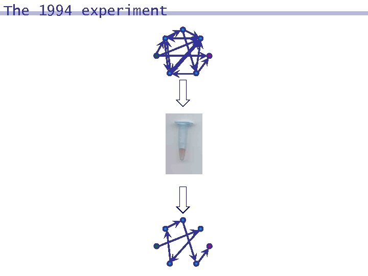 The 1994 experiment 