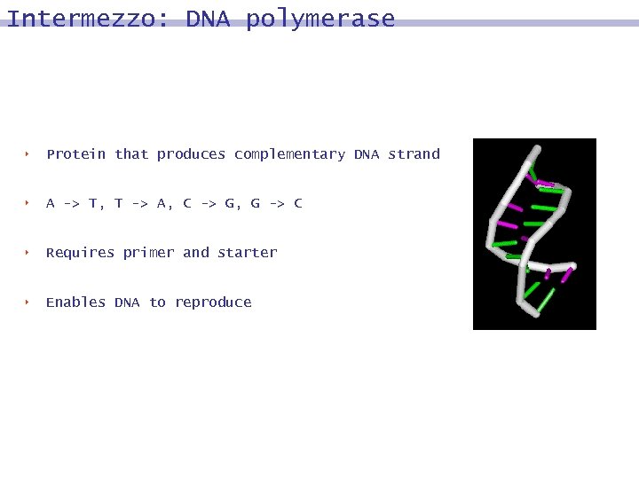 Intermezzo: DNA polymerase 8 Protein that produces complementary DNA strand 8 A -> T,