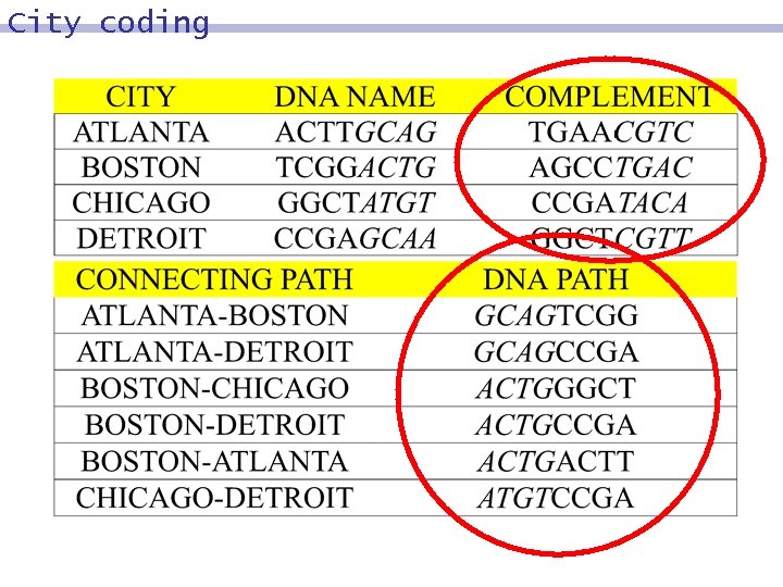 City coding 