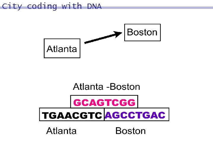 City coding with DNA 