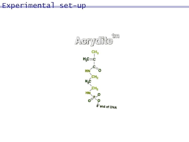 Experimental set-up 