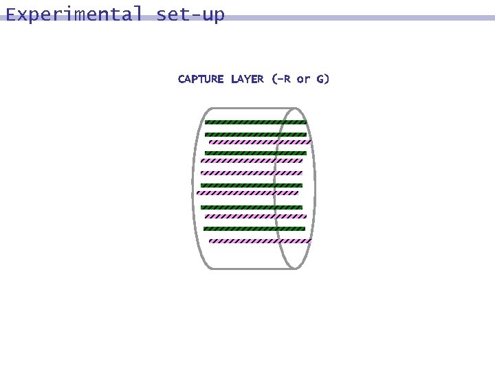 Experimental set-up CAPTURE LAYER (-R or G) 