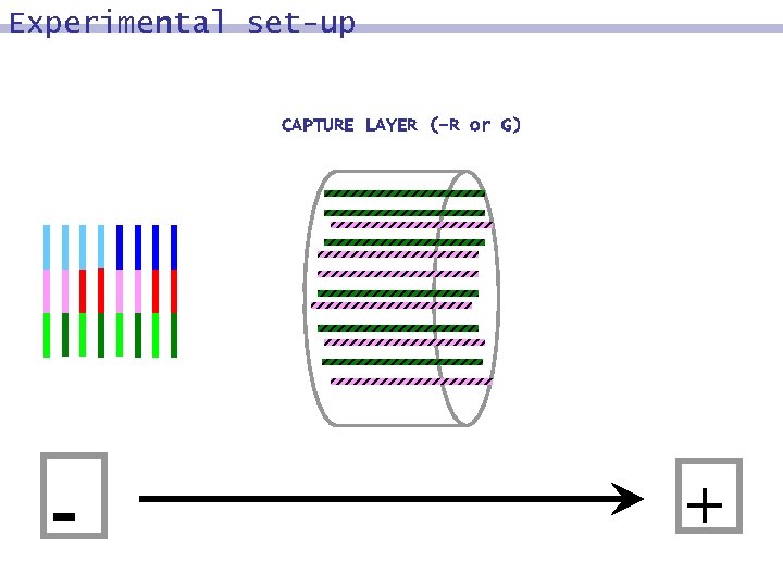 Experimental set-up CAPTURE LAYER (-R or G) - + 