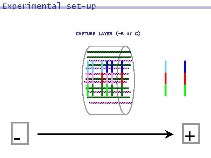 Experimental set-up CAPTURE LAYER (-R or G) - + 