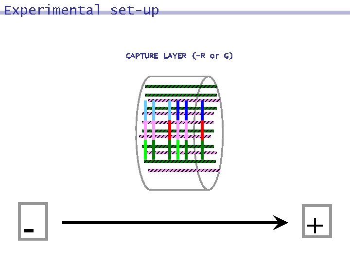 Experimental set-up CAPTURE LAYER (-R or G) - + 