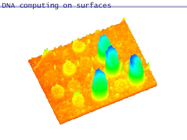 DNA computing on surfaces 