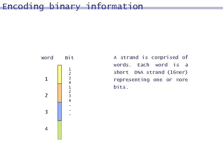 Encoding binary information Word 1 2 3 4 Bit 1 2 3 4. .